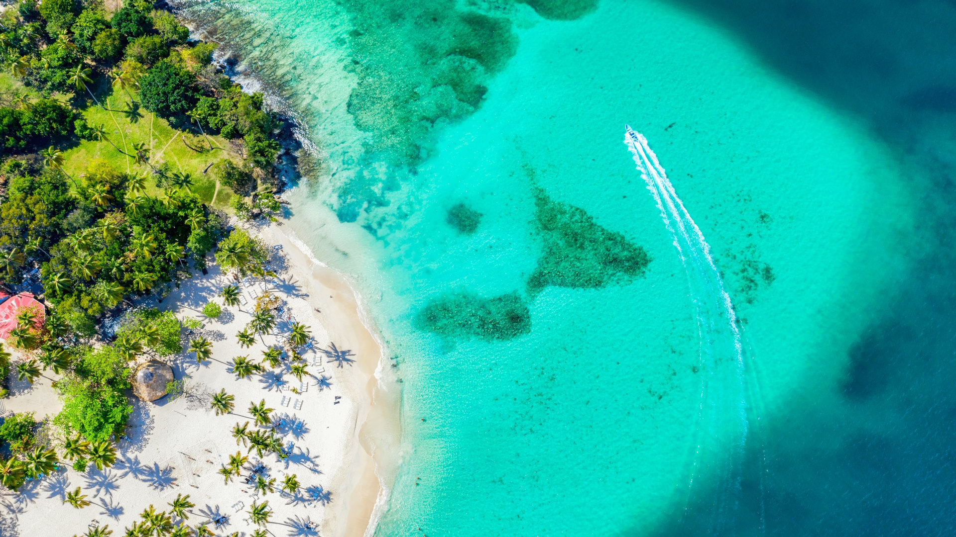 Cayo Levantado en la bahía de Samaná
