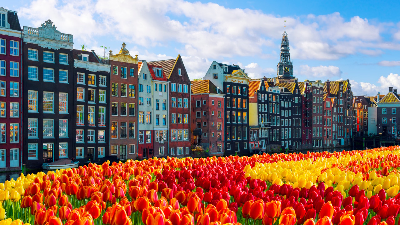 Centro histórico de Ámsterdam con tulipanes rojos y amarillos en primer plano